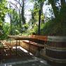 A shaded outdoor seating area with wooden benches and a table, surrounded by trees and plants.