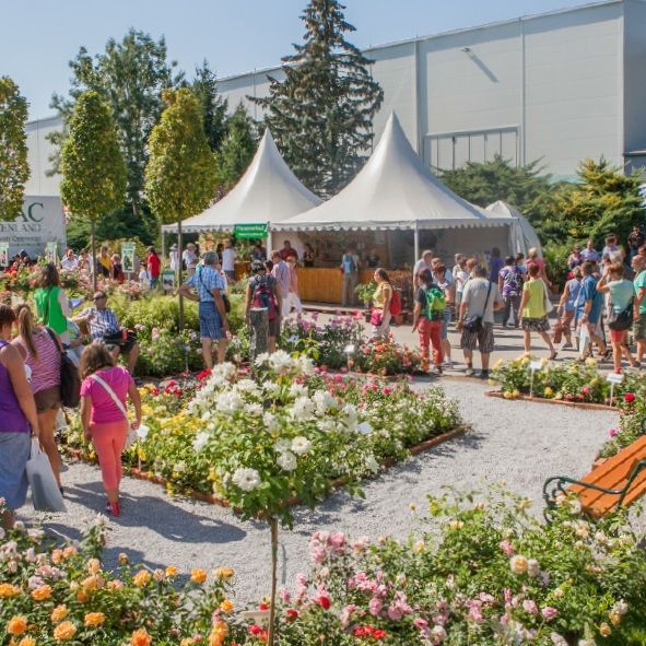 People at a garden fair with flower beds and white tents.