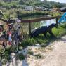 seacamping-bikes-with-sea, © Wienerwald Tourismus