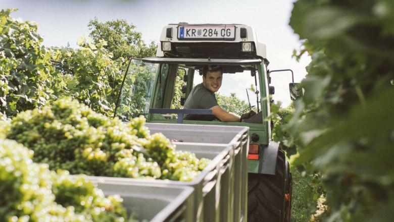 M&uuml;ller_Tractor_M&uuml;ller, &copy; Weingut M&uuml;ller