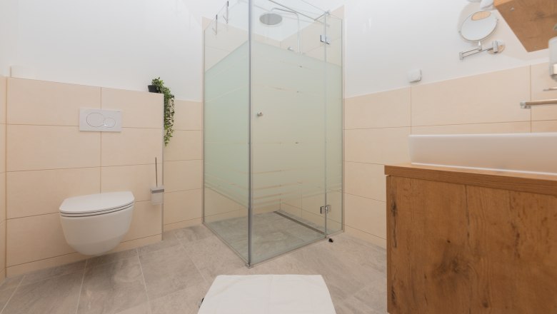 Modern bathroom with shower, toilet and washbasin.