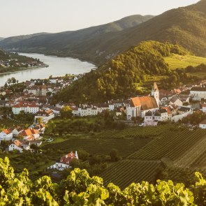 Wine on the Danube, © Michael Liebert