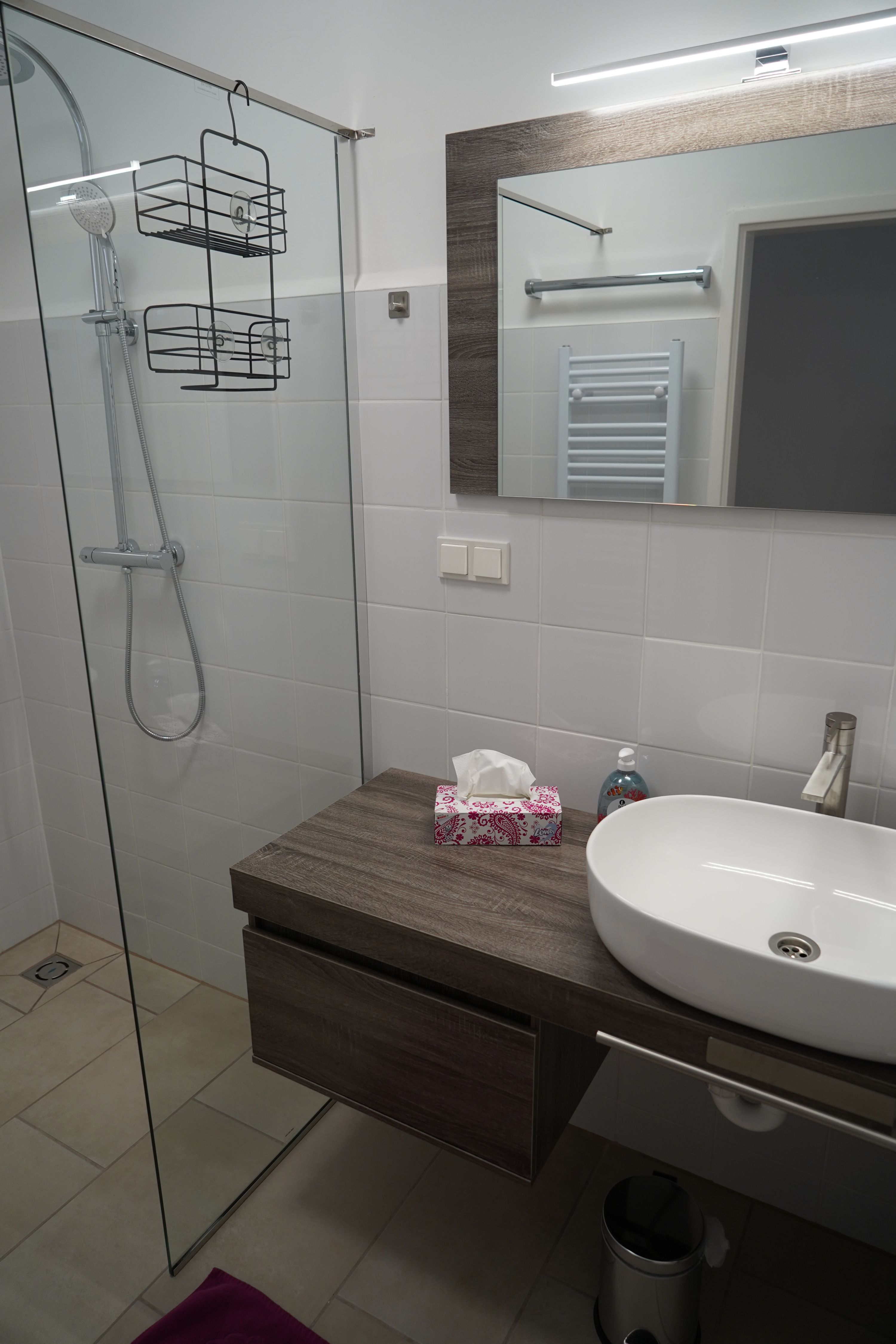 Modern bathroom with glass shower, washbasin and mirror.