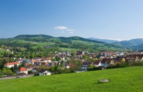 Wilhelmsburg, © Municipality of Wilhelmsburg