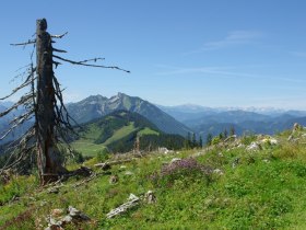Haute Route 11. Etappe: G&ouml;stling &ndash; Hollenstein, &copy; Mostviertel