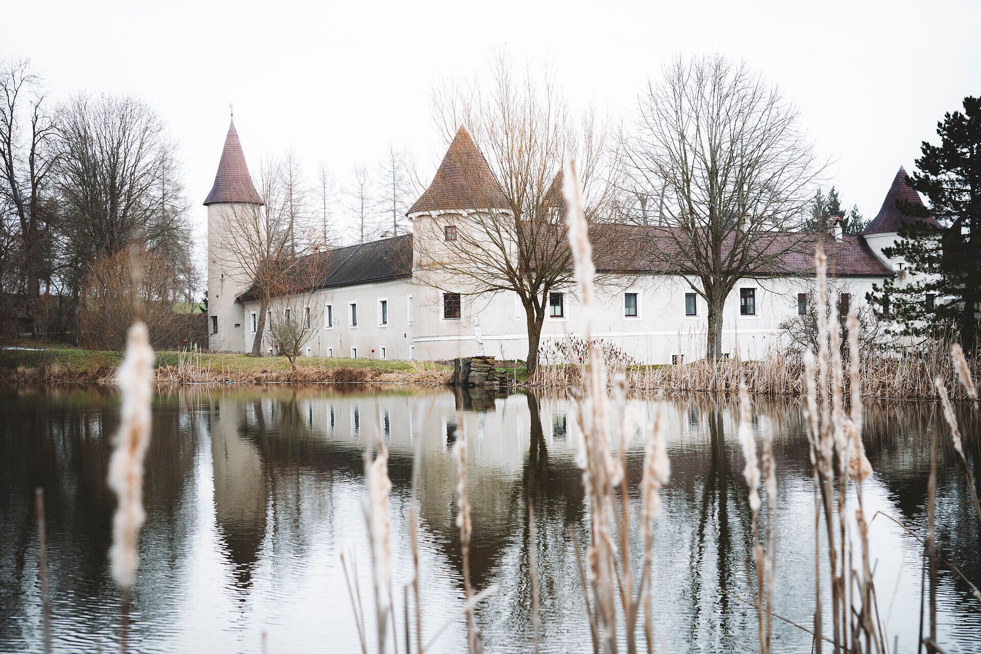 In the winter silence, the majestic Waldreichs Castle is reflected in the calm waters of the pond. Surrounded by bare trees and rolling hills, the frosty landscape invites you to take a contemplative walk, while the fresh air invigorates the senses.