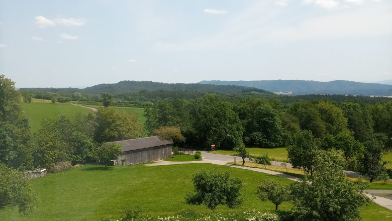 Landscape with meadow, trees and a small building under a blue sky.