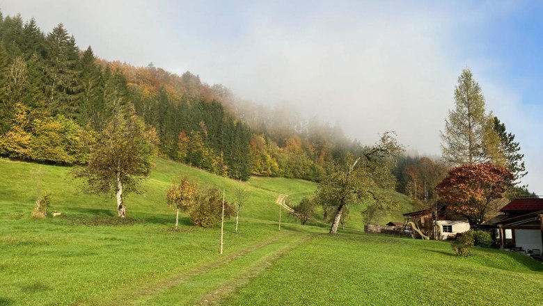 weitlaeufiger-garten-vor-dem-ferienhaus, © Ferienhof Kirchau