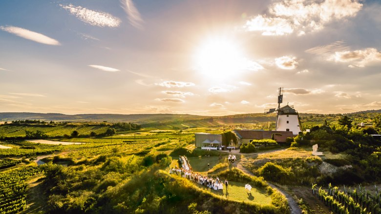 Al fresco dining in the Weinviertel, © Weinviertel Tourismus, Robert Herbst