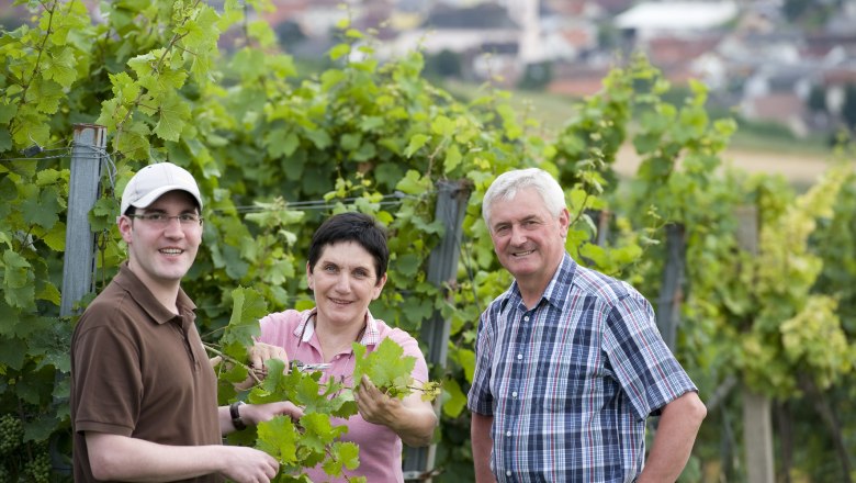 Three people are standing in a vineyard with green vines in the foreground and a blurred town in the background.