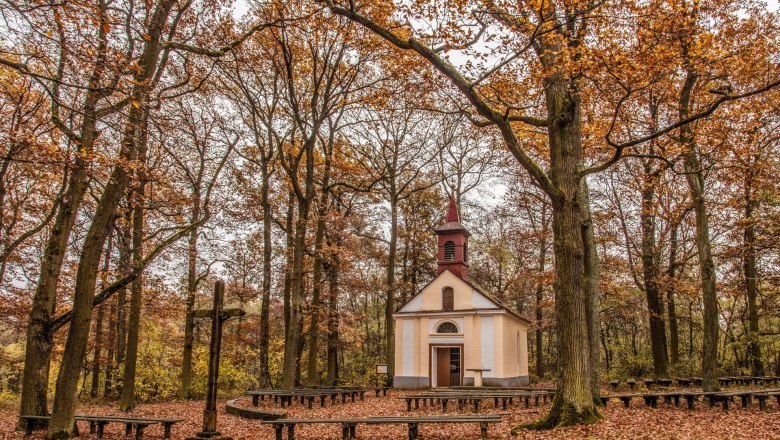 A small chapel in the forest, surrounded by autumnal trees and leaves on the ground.