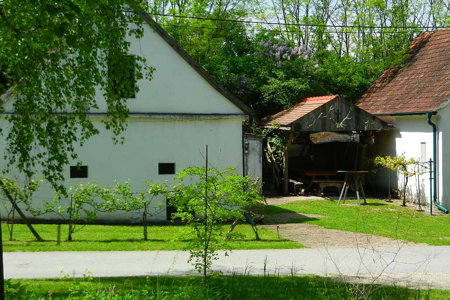 A rural courtyard with white buildings and a green garden.