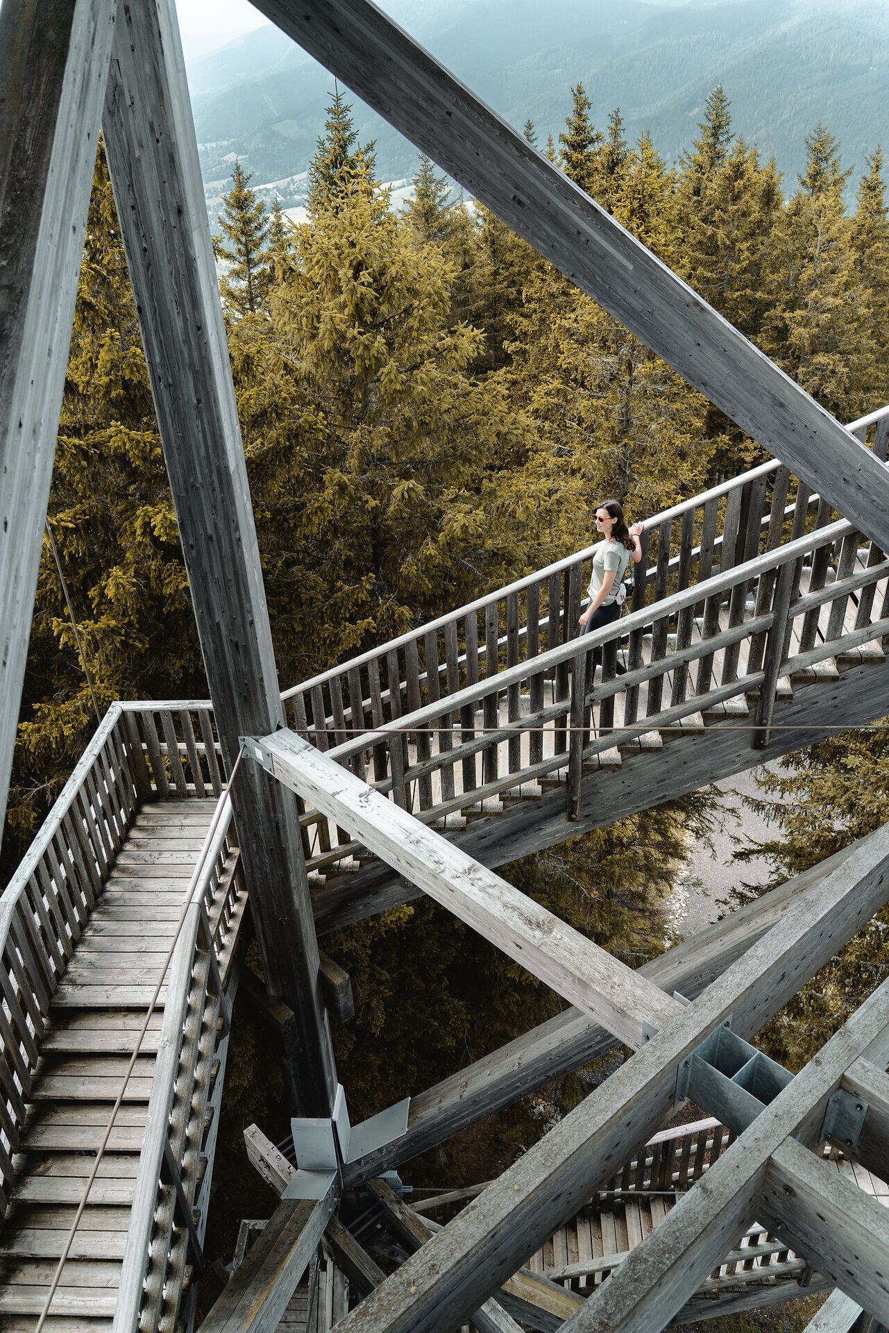 Come to LA Lower Austria, Hirschenkogel, Milleniumswarte, Vienna Alps in Lower Austria