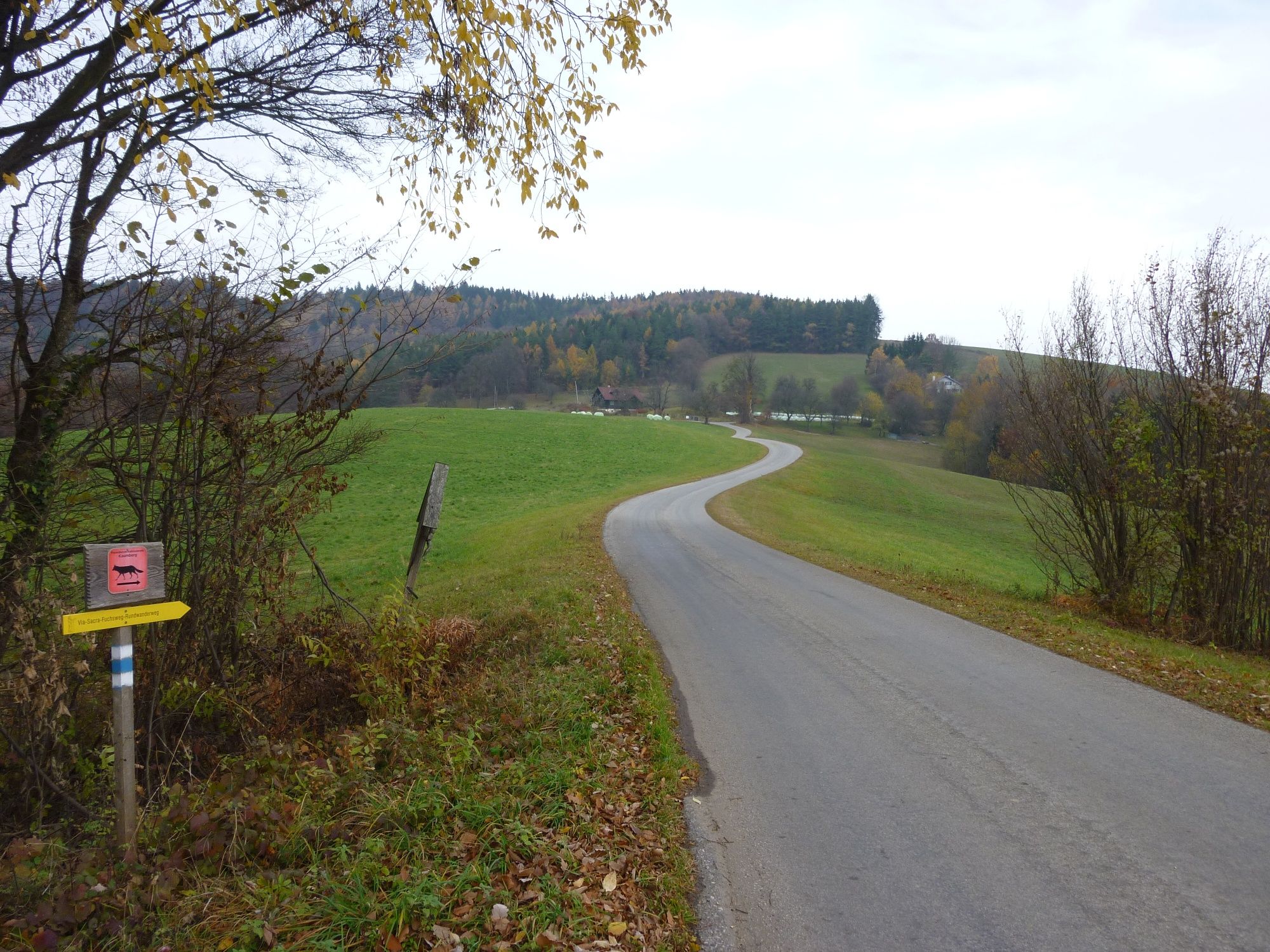 Direction Stadlmann