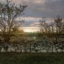 Natural stone wall in the garden with trees in the background at sunset.