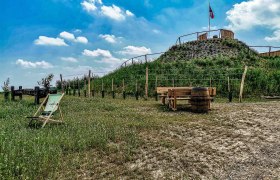 Vineyard snail Platzl, © HanSu.Foto.Design