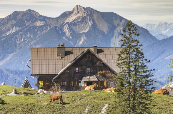 Ybbstalerhütte , © Theo Kunst