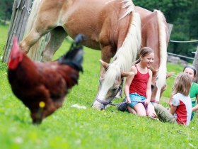 Am Reiterbauernhof MAHO, &copy; weinfranz