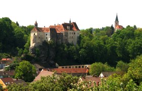 Raabs Castle on a hill with surrounding trees and houses.