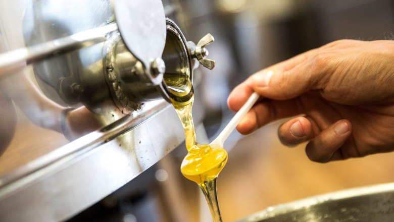 Organic beekeeping Niklas, &copy; Theo Kust