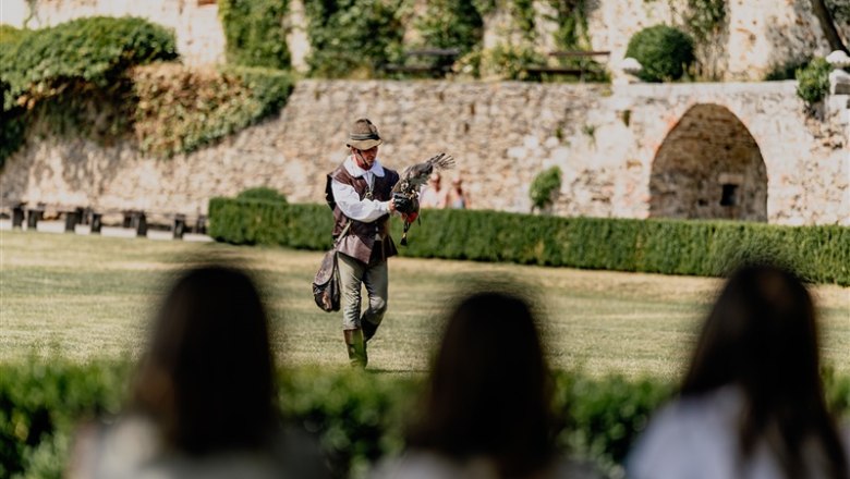 A falconer with a bird of prey on his arm in front of an old stone wall in the castle garden.