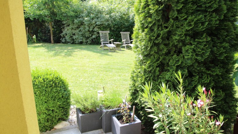 Garden with lawn, two sun loungers and plants in pots.
