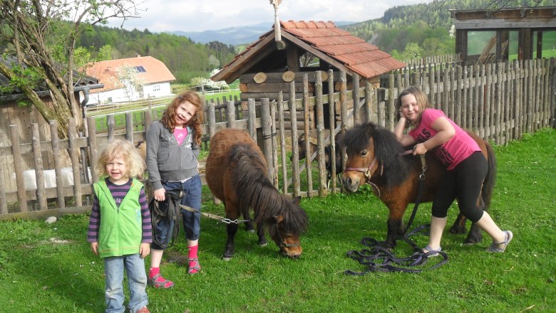 Three children with two ponies on a meadow in front of a wooden fence.