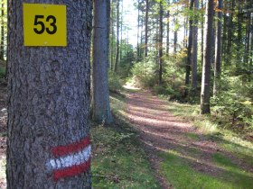 Panoramaweg Bad Traunstein, &copy; Marktgemeinde Bad Traunstein