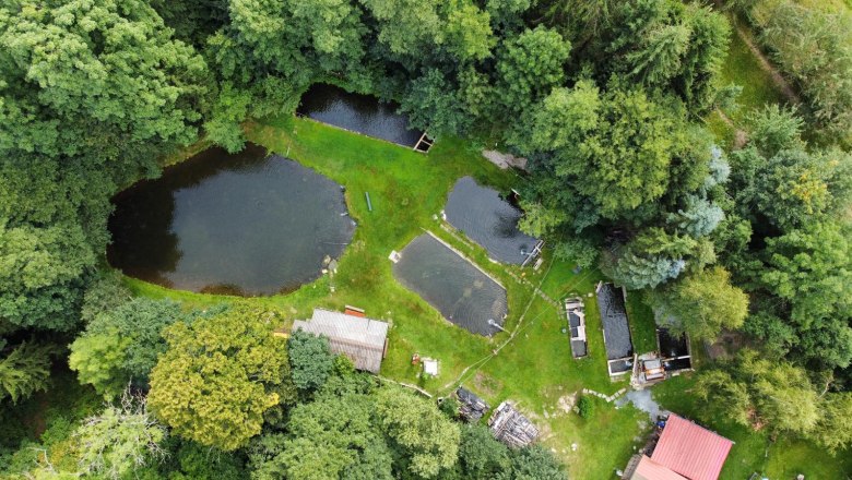 Aerial view of several fishing and angling ponds surrounded by trees and meadows.