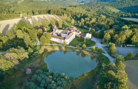 Aerial view of Waldreichs Castle surrounded by forest and a pond.