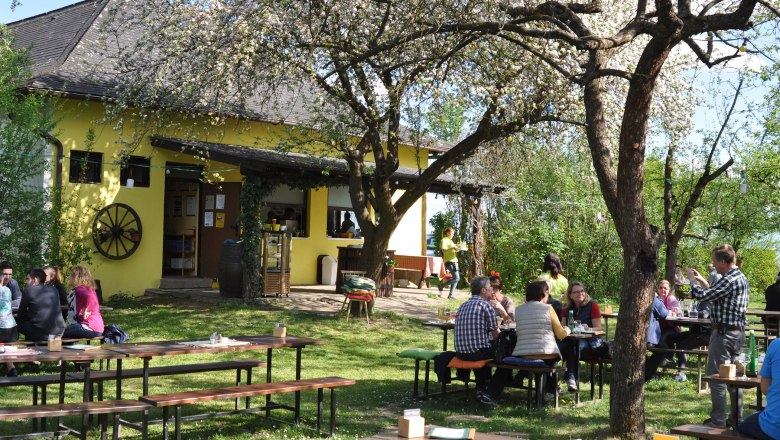 People sit outside at wooden tables in front of a yellow building with blossoming trees.