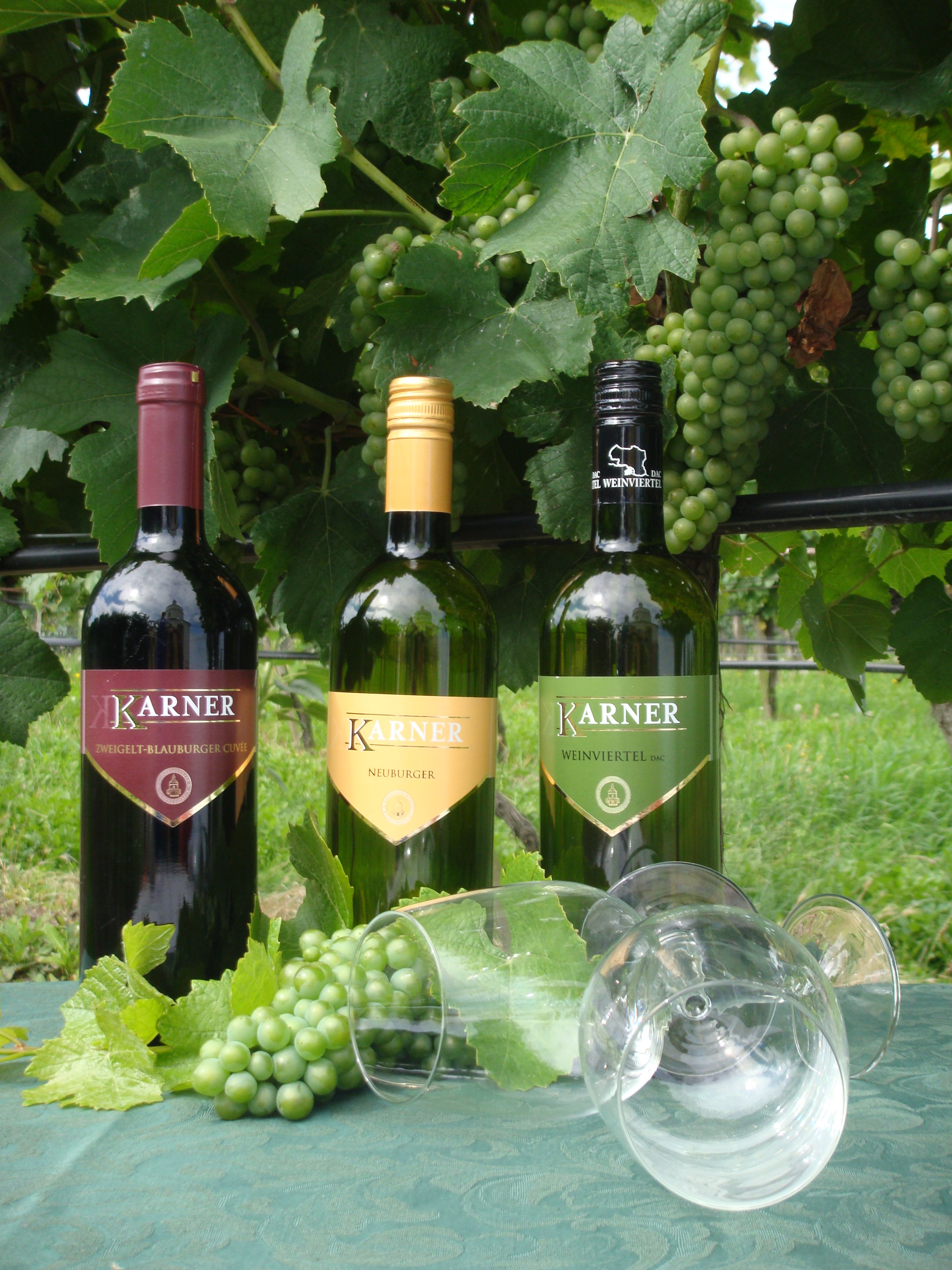 Three bottles of Karner wine with grapes and wine glasses on a table in front of vines.