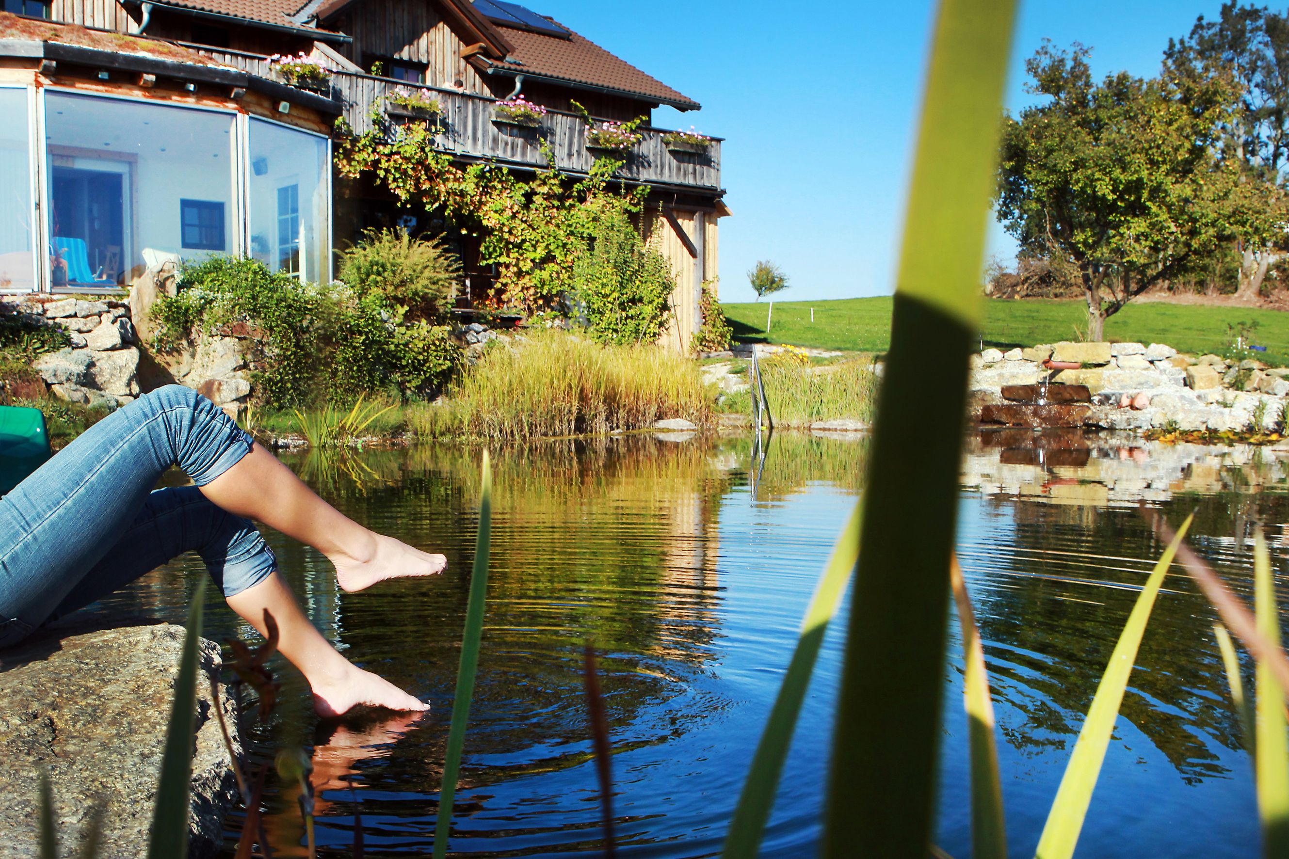 Person sitting at the edge of a pond with his feet in the water, in front of a farmhouse with a garden.