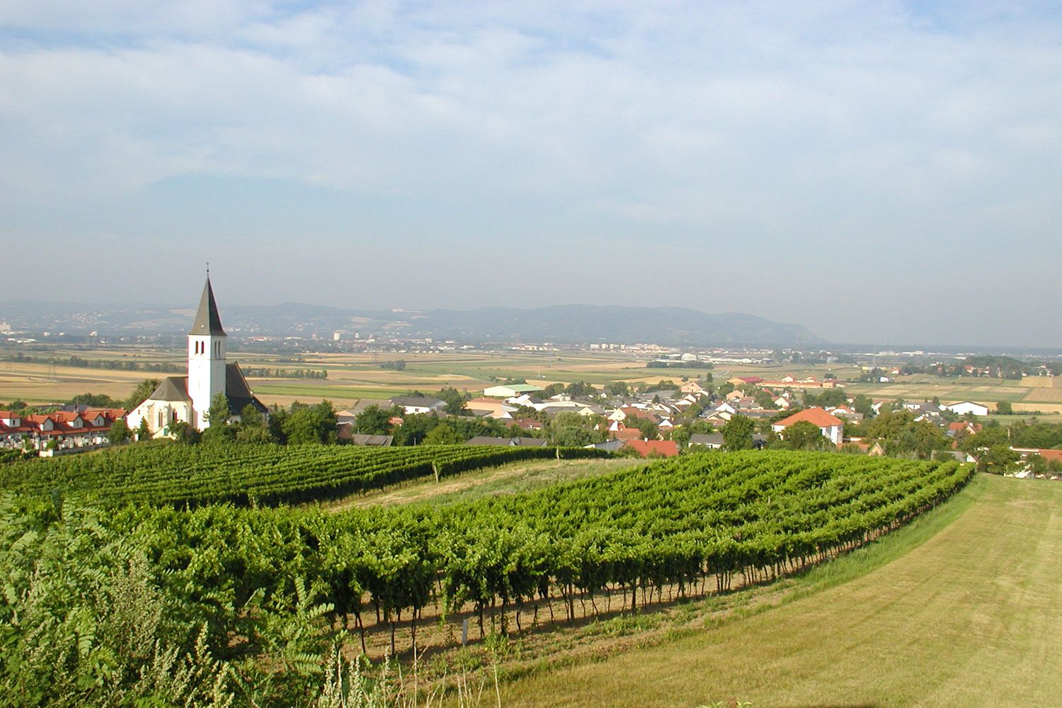 View of Stetten with church and vineyards in the foreground.