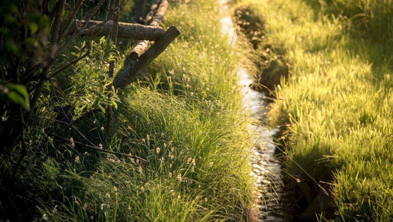 Brook, © Landhaus Lunkowitz