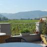 Terrace with views of vineyards and mountains in the background.