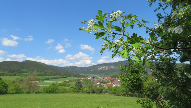 A bee flies next to flowering branches in a green landscape with hills and a village in the background.