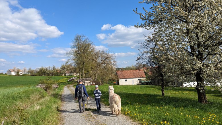 Hiking in Harth, &copy; Michael Berner