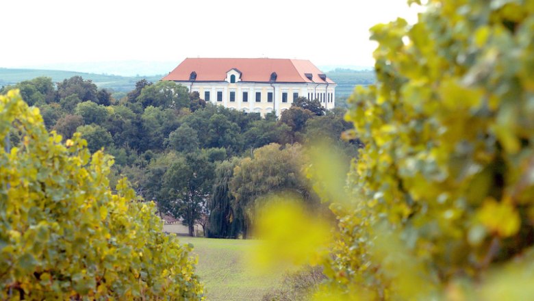 Hardegg Castle surrounded by trees, with a red roof and white walls, and a hilly landscape in the background.