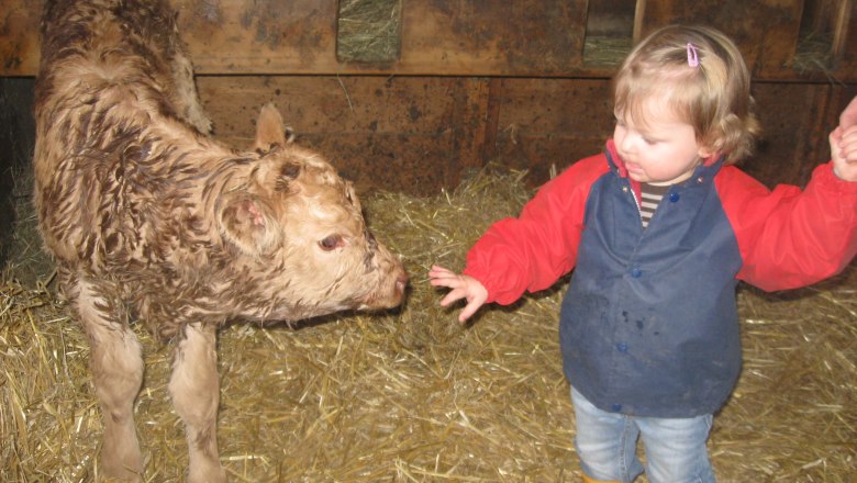 Being friends with the cow, © büchlhof