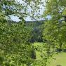 View through green trees to a meadow and wooded hills in Oberhof.