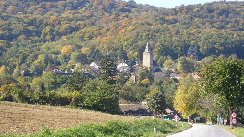 Landscape with Michelstetten fortified church in the background.