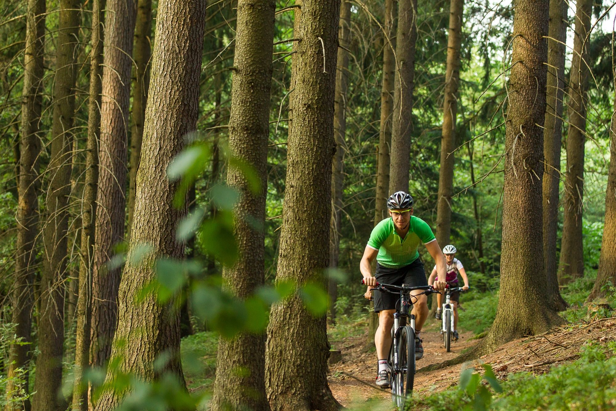 Mountain biking Waldviertel