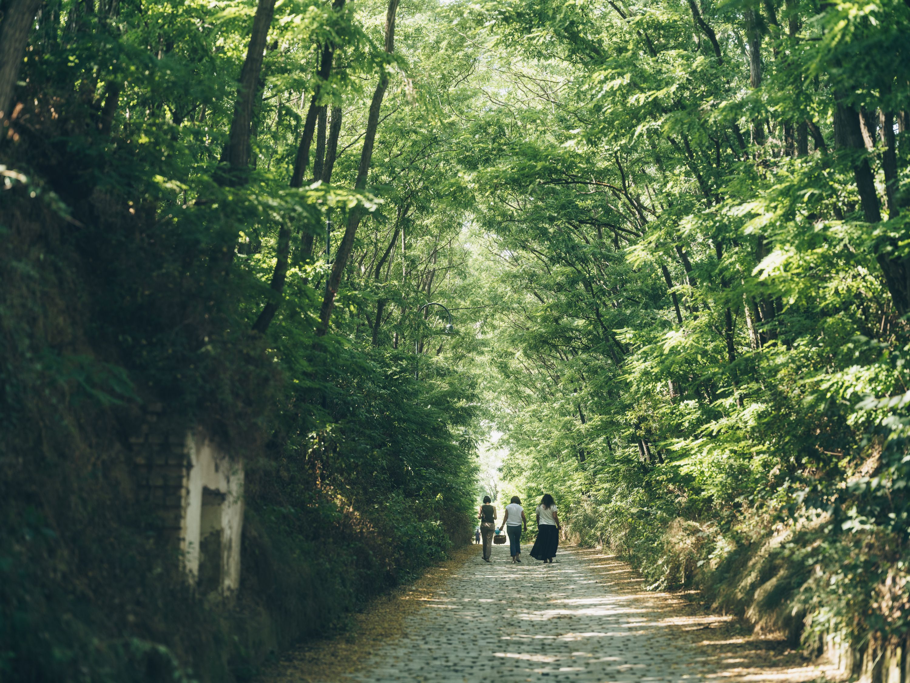 Three people walking along a tree-lined path in Poysdorf, Austria.