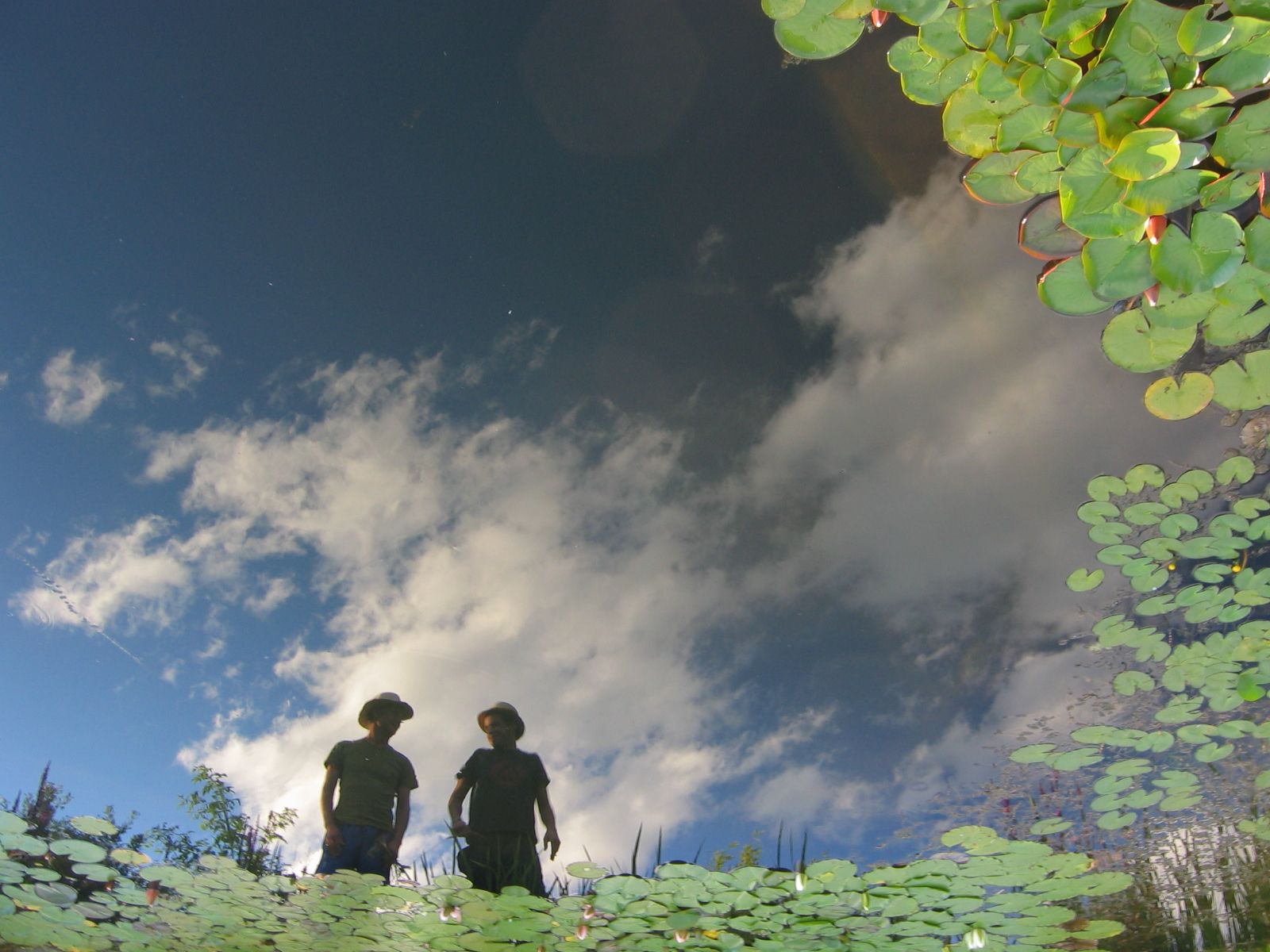 Reflection of two people and clouds in a pond with water lilies.