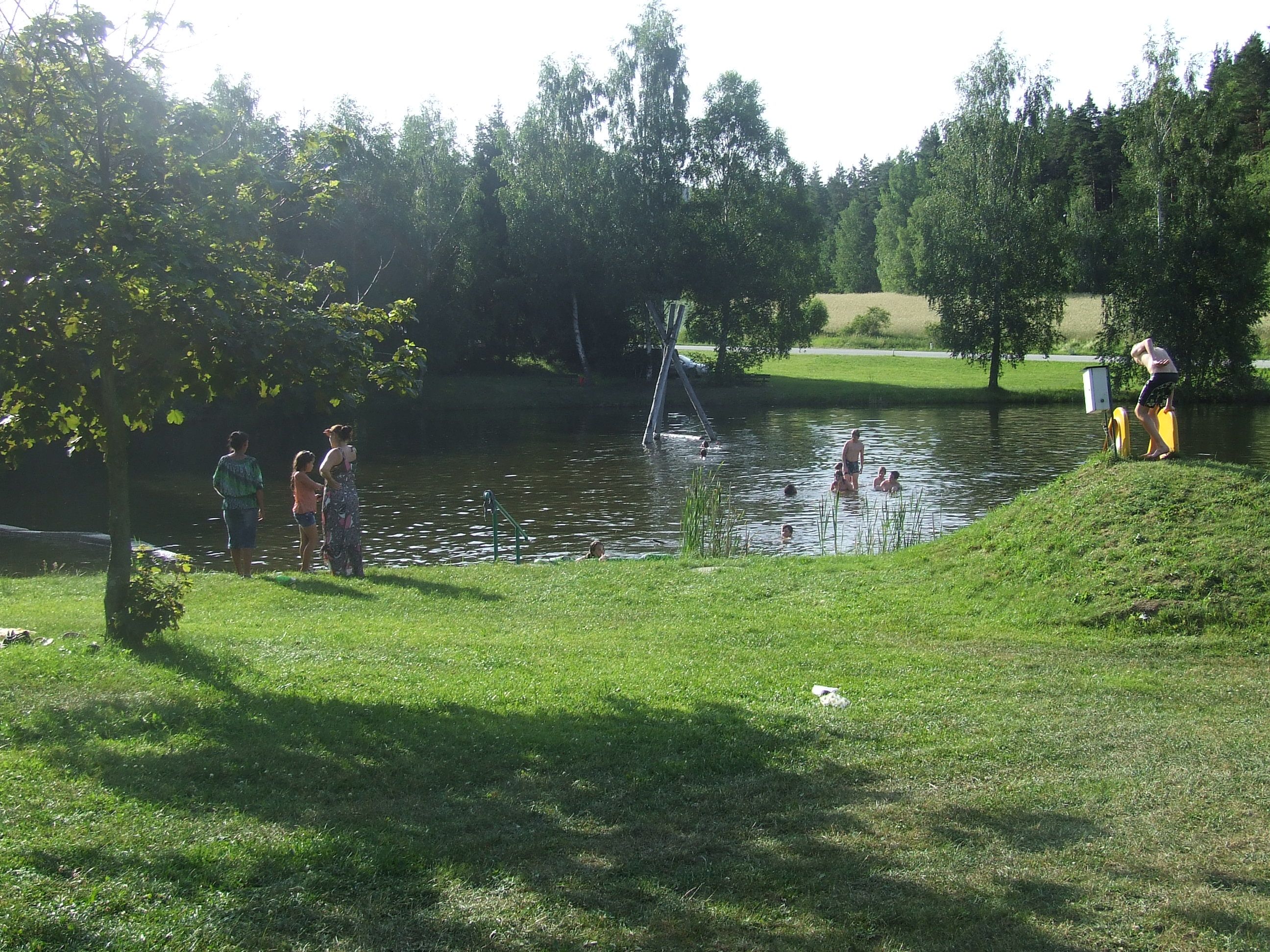 People bathing in a natural pond surrounded by trees and meadows.