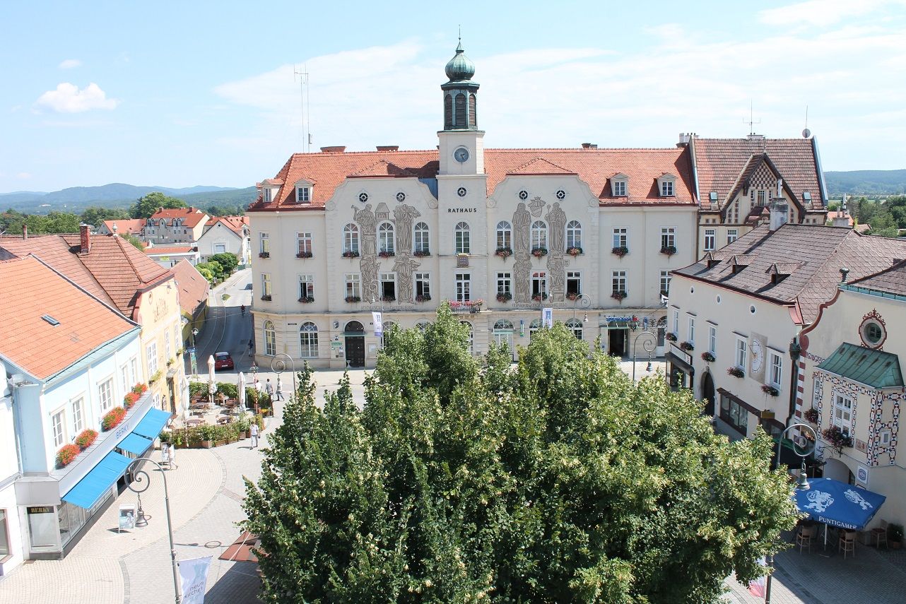 Historic town hall on a sunny main square with surrounding buildings and trees.