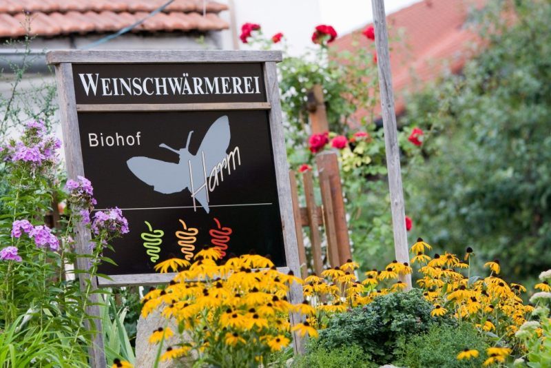 Sign with the inscription 'Weinschwärmerei Biohof Harm' in a flowering garden.