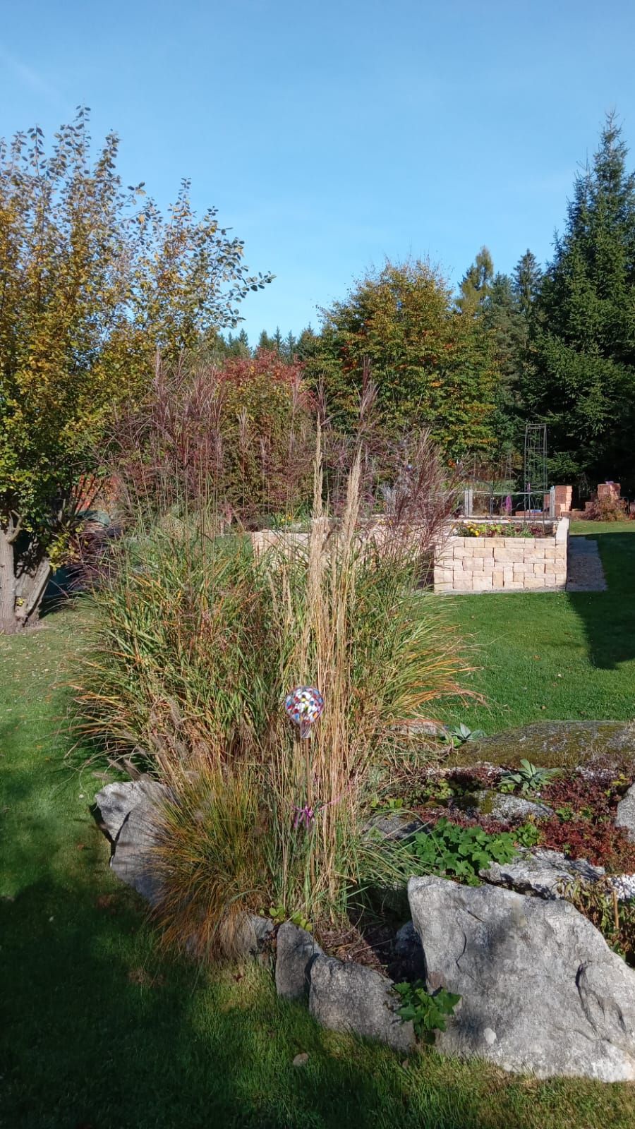 A garden with tall grasses, trees and a rockery under a blue sky.