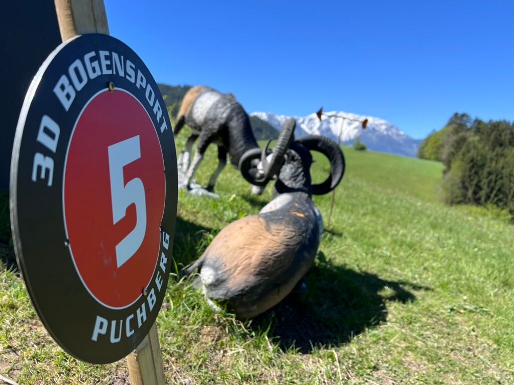3D BOGENKURS(c) Herwig Kerbl